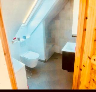 Apartment with free parking and access to garden - 3