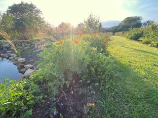 Le Jardin de Margny - 4
