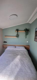 The Pad Newquay pet friendly - 5