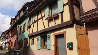 Le Petit Cocoon des Vignes - 3