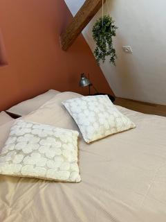 Le Petit Cocoon des Vignes - 1