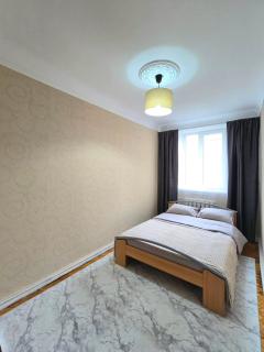 Central City Puskin 2 BDR - 4