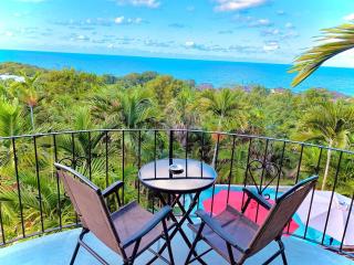 The Coconut Palm Villa - Ocean View Suite w/ Pool - 3