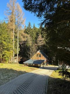 Urlaub mit Hund - 8