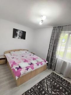 Nicoleta Apartment - 2