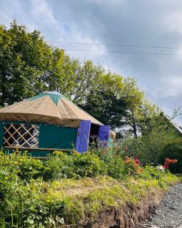 A Magical Cosy Garden Yurt - 9