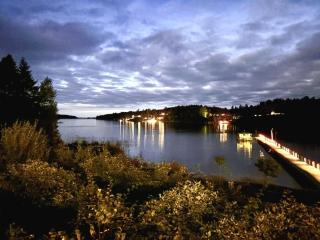 The Dream House By The Glittering Lake Vttern - 3