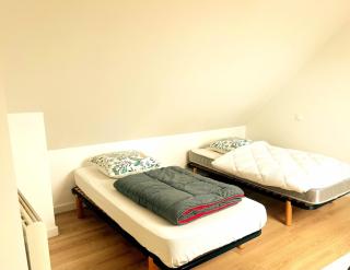 Spacious house with private garden - 1