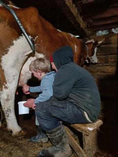 Family owned self sufficient ECO farm TARA - 4