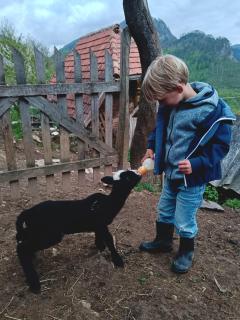 Family owned self sufficient ECO farm TARA - 3
