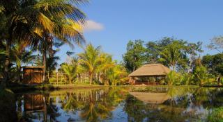 Prashanti Bali - Ubud - 9