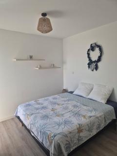 Appartement T2 avec jardin à Saint Gilles Les Bains - 4