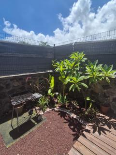 Appartement T2 avec jardin à Saint Gilles Les Bains - 1