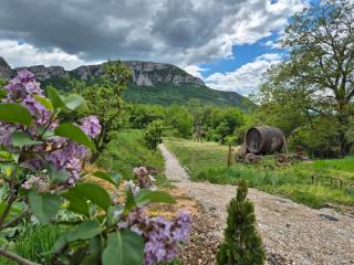 Ramonda Serbica - Gorge View & Peacful Nature Retreat - 1