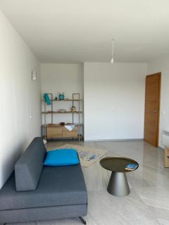 Apartment Signature, 4 stars, nearby University hospital, with sea view, 90m2 - 8