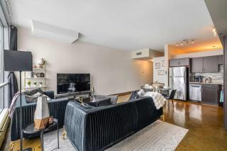 Jungle Book Luxe Suite Downtown BMO - 3