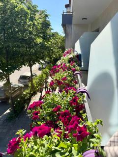 Villa24 Vlore - 6