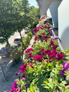 Villa24 Vlore - 5