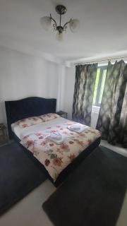 Apartament Kriss Mihaileanu - 9