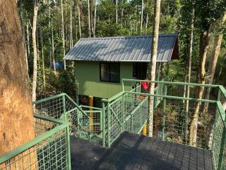 Honey Moon cottage - 3