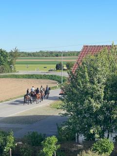 Residence Blanc Suites - Private Ferienresidenz mit Pool & Garten - 9