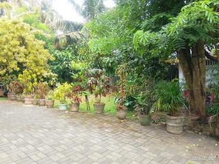 Vegan Stay Colombo Private Room & Meals - 6