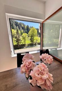 Rina Apartments, Cozy Riverside Stay in Luče, near Logar Valley - 0