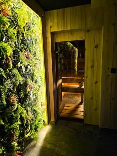 Chata w Bieszczadzie SPA apartamenty i domki z basenem Bieszczady - 4