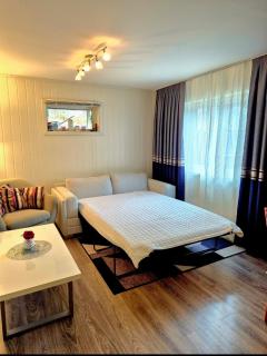 Lovely 1 bedroom downstairs condo with free parking place - 5