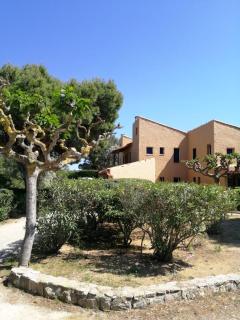 CASA Croco - 7