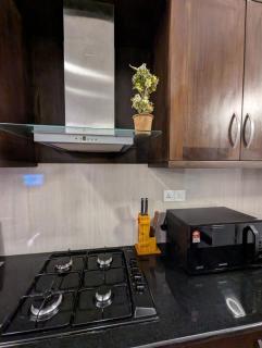 Luxury Urban Living 3BR 360Rooftop Pool & Gym - 2