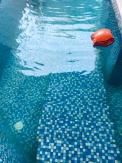 Suite Exécutive avec piscine - 3
