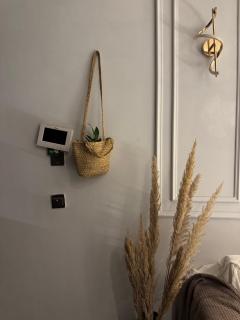 The Spiral Nest - 3