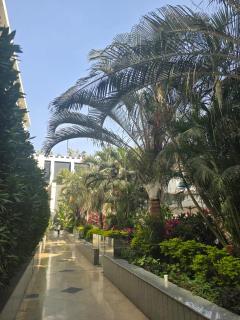 FLAMINGO Hotel Apartments at Ocean blue resort - 2