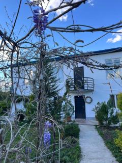 NOVEL HOUSE - 0