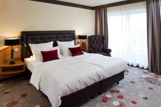 DER HEIDEHOF Conference & SPA Resort - Ingolstadt - 1
