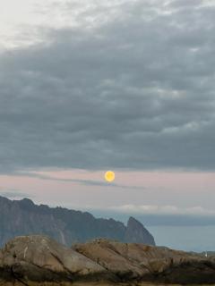 Lofoten Villa - 5