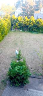 Vila Sofija - 8