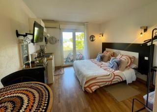 Studio climatisé avec terrasse coucher de soleil ménage compris pour 2 à 3 personnes dans un parc calme avec double piscine au sel et parking privé protégé Proche mer et port - 9