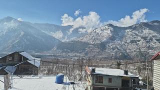 The Prunus Home - 9