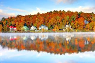 Hemlock Cabin Retreat | 3BR + Cedar Guest Suite - 5