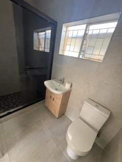SwanNest - 8