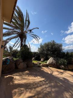 Porto Vecchio beautiful apartment in a villa - 4
