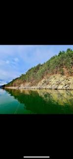 Black Swan Lakehouse - 8