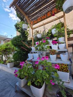 Vila Soleil - 1