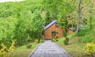 Riverside Villa in Dunav, Swimming Pool, Lake Side, Nature Views - 9