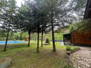 Riverside Villa in Dunav, Swimming Pool, Lake Side, Nature Views - 6
