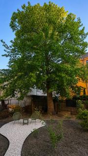 Gentle Harmony - Vivien Apartments Character & Atmosphere - 1