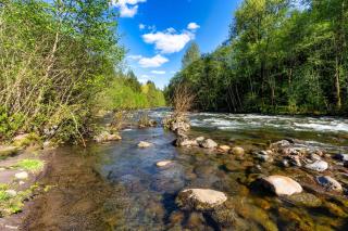 Stay Portland - Relaxing River Retreat - 8