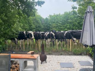 The Green Farmhouse - 7